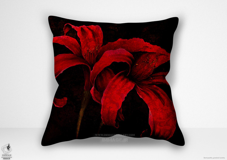 کوسن گل گل های قرمز مناطق گرمسیری (BC 1662)