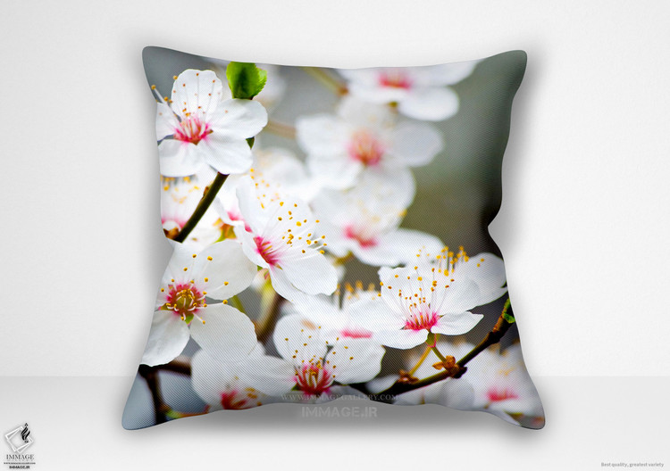 کوسن گل ، شکوفه های سیب عکس پیچیده شده (BC 1767)