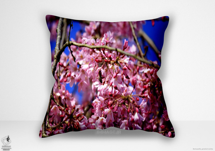 کوسن گل ، عکس شکوفه های گیلاس اورا ساکورا (BC 1805)