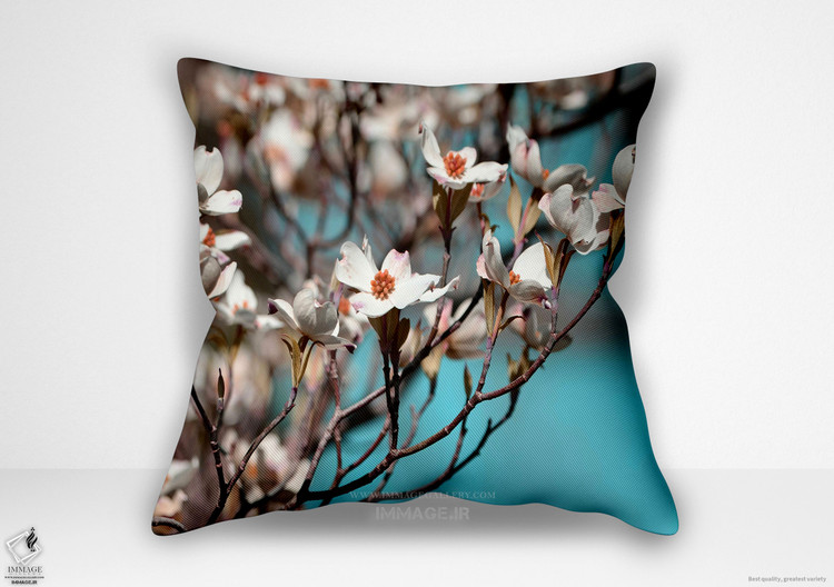 کوسن گل ، داگ وود اسپرینگ اثر شارون چندلر (BC 1835)