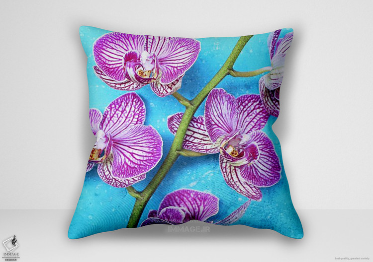 کوسن گل ، یک ارکیده صورتی روی پس زمینه فیروزه ای (HD 1122)