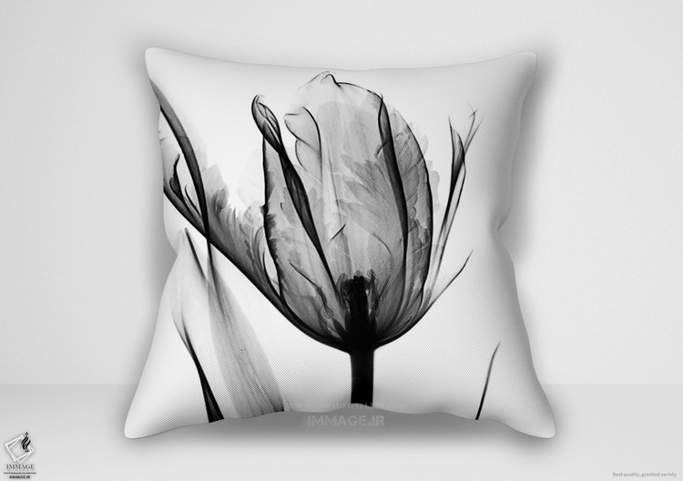 کوسن گل ، لاله با کنتراست بالا ۱ (HD 1273)