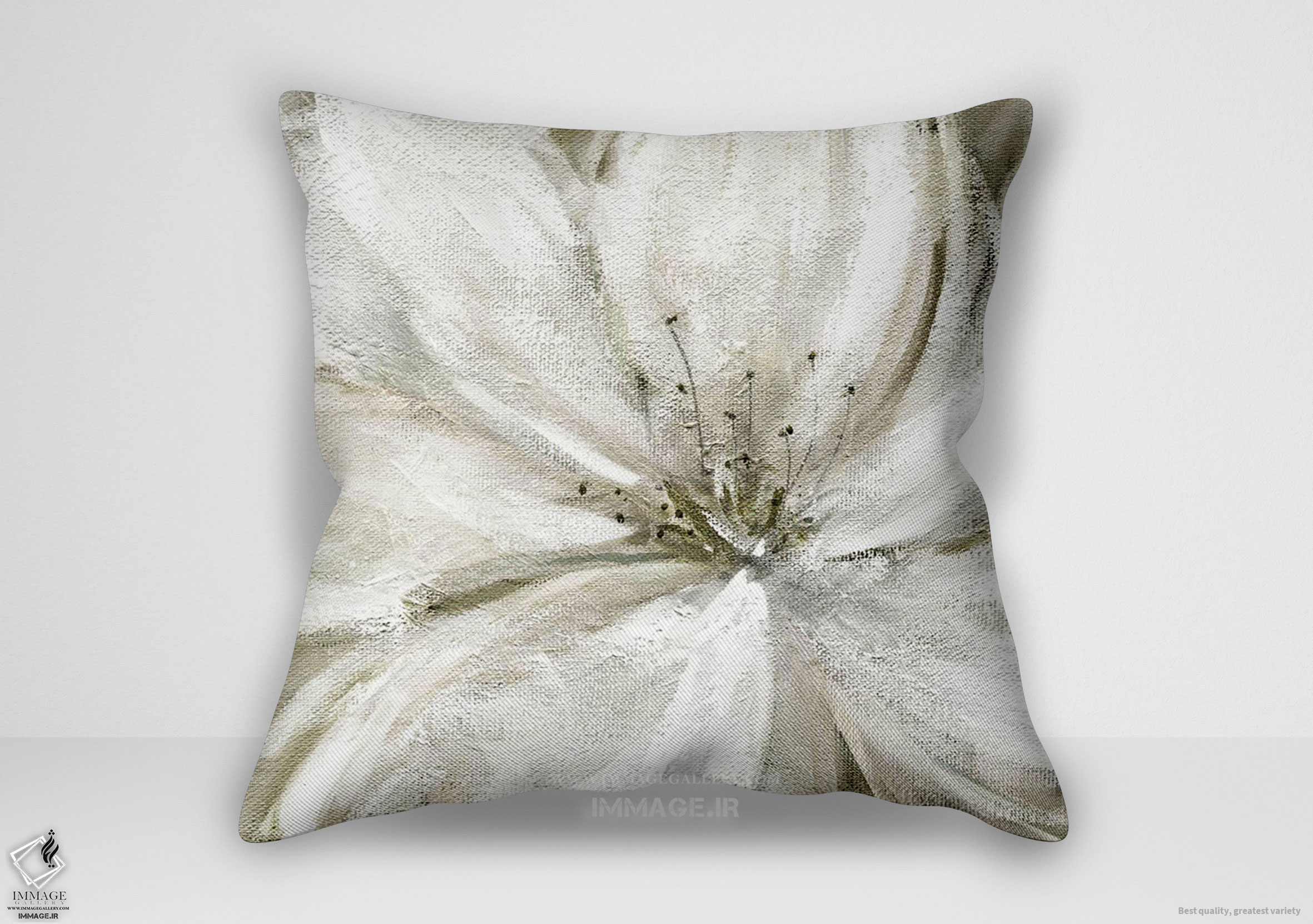 کوسن گل ، روز بارانی نرم (HD 1429)