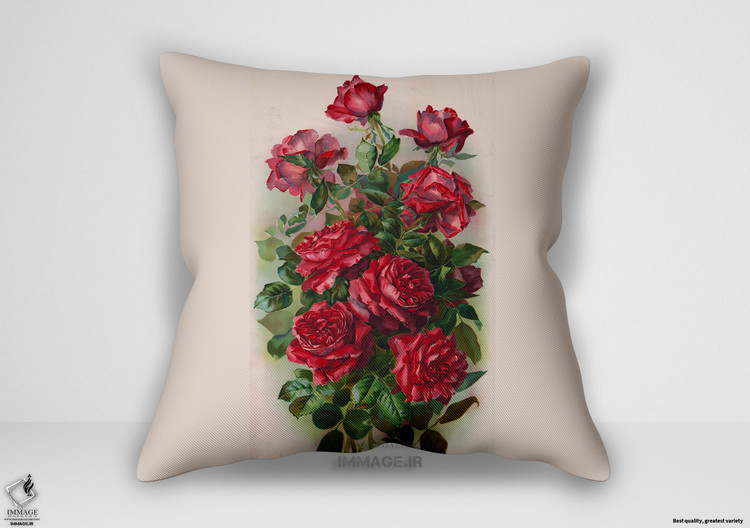 کوسن نقاشی کلاسیک ، موزه ایی جایزه اول زیبایی های آمریکایی ۱۹۰۱ اثر گری لیتو شرکت (art 1387)