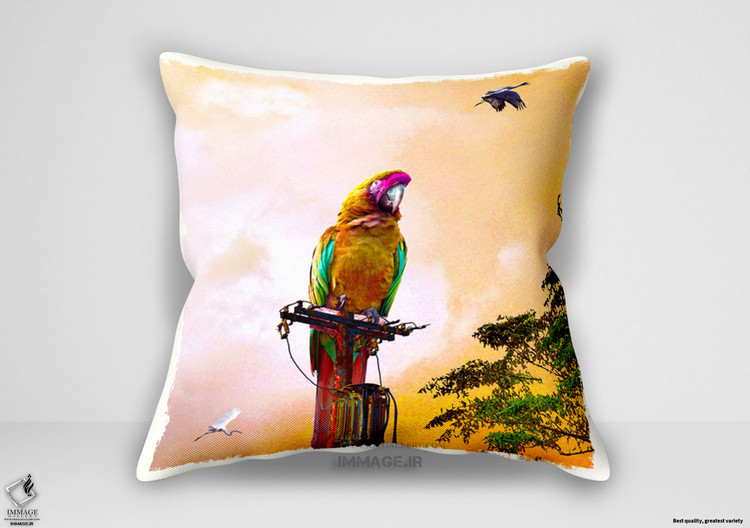 کوسن مدرن به دنبال آزادی اثر کری یف ایو (IG 8143)