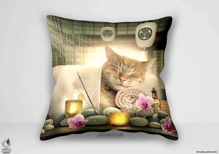 کوسن مدرن چت ذن توسط بینت سیلون (IG 9884)