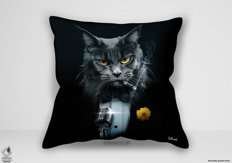 کوسن مدرن چت کرونر اثر بینه سیلوین (IG 9891)