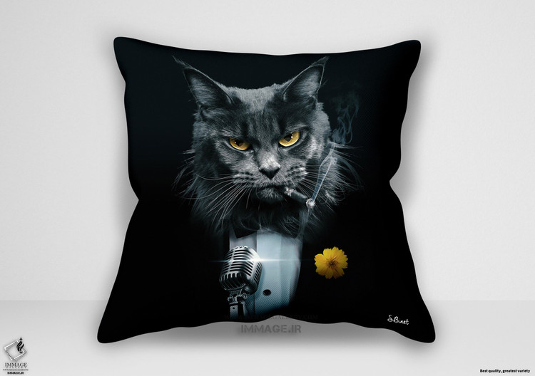 کوسن مدرن چت کرونر اثر بینه سیلوین (IG 9891)