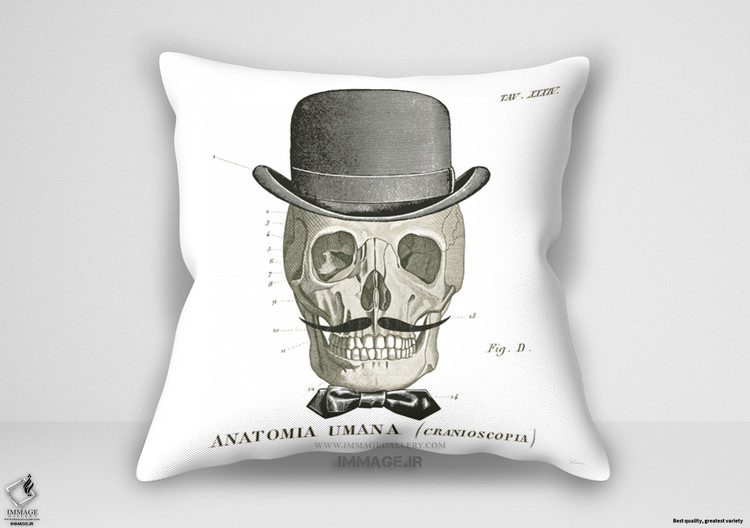 کوسن مدرن استخوان های شیک توسط شلاباخ سو (WA 21821)