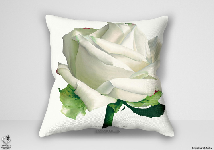 کوسن گل ، رز سفید ۱ اثر اندرو استفانی (IG 2032)