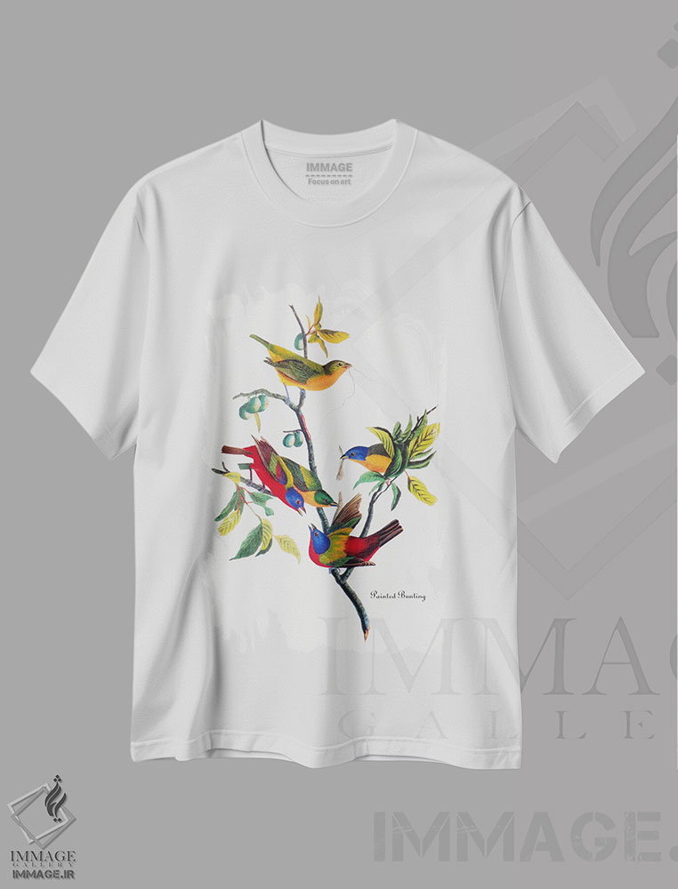 تیشرت طرح دار فنچ رنگارنگ، تزئینی اثر جان جیمز آدوبون | فروشگاه ایماژ