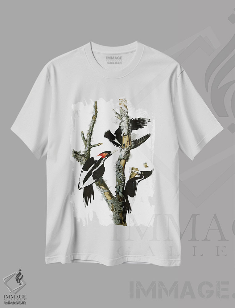 تیشرت طرح دار دارکوب منقارقوچی، ۱۸۲۹، تزئینی اثر جان جیمز آدوبون | فروشگاه ایماژ