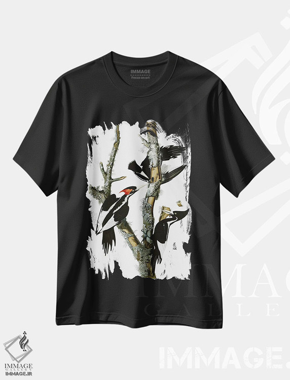 تیشرت طرح دار دارکوب منقارقوچی، ۱۸۲۹، تزئینی اثر جان جیمز آدوبون | immage.ir