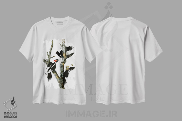 تیشرت طرح دار دارکوب منقارقوچی، ۱۸۲۹، تزئینی اثر جان جیمز آدوبون | فروشگاه ایماژ