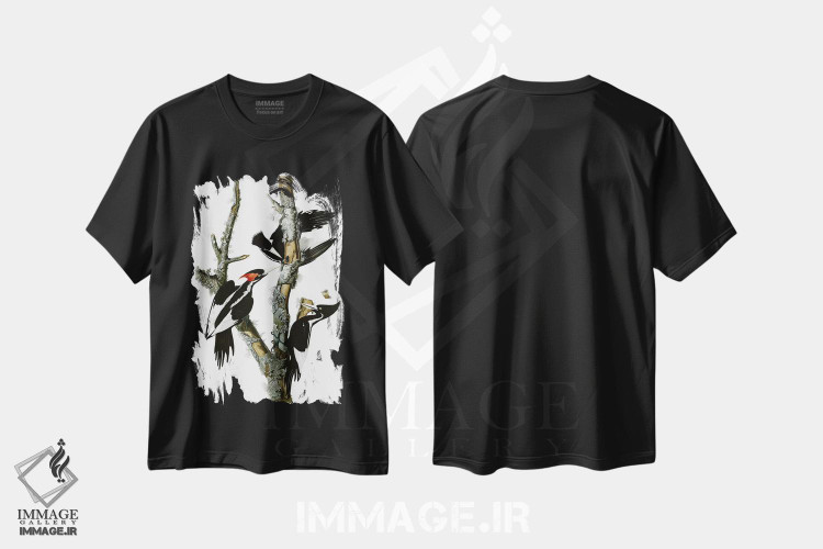 تیشرت طرح دار دارکوب منقارقوچی، ۱۸۲۹، تزئینی اثر جان جیمز آدوبون | immage.ir