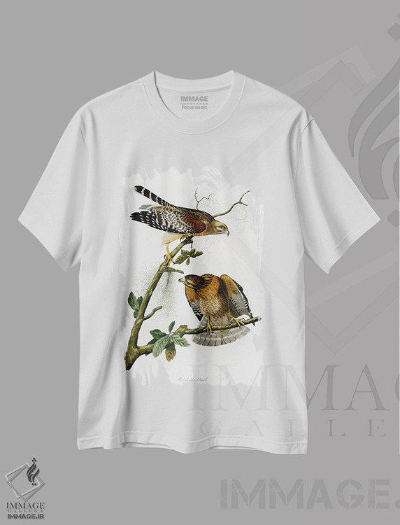 تیشرت طرح دار شاهین سرخ شانه، تزئینی اثر جان جیمز آدوبون | immage.ir