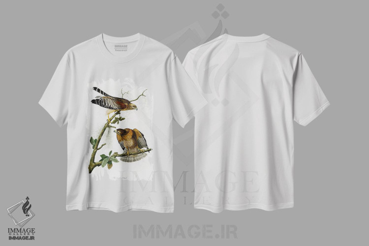 تیشرت طرح دار شاهین سرخ شانه، تزئینی اثر جان جیمز آدوبون | immage.ir