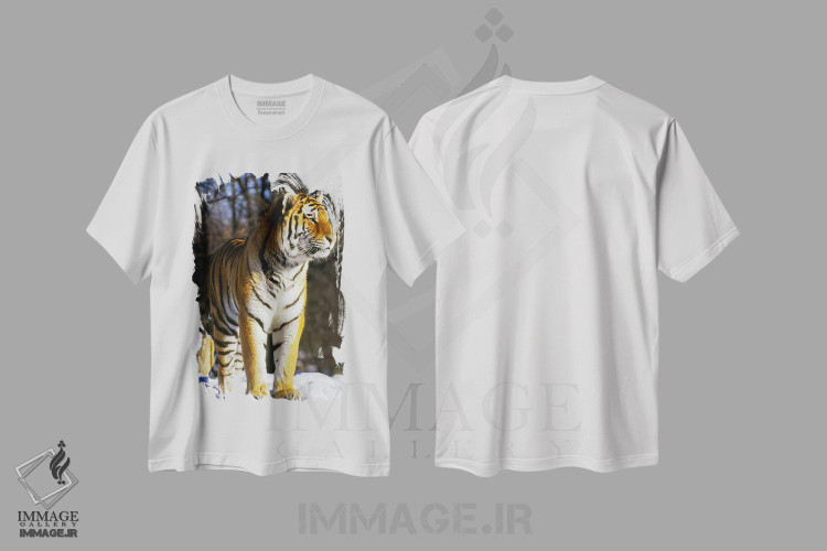 تیشرت طرح دار ببر، تزئینی اثر هنرمند ناشناس | فروشگاه ایماژ