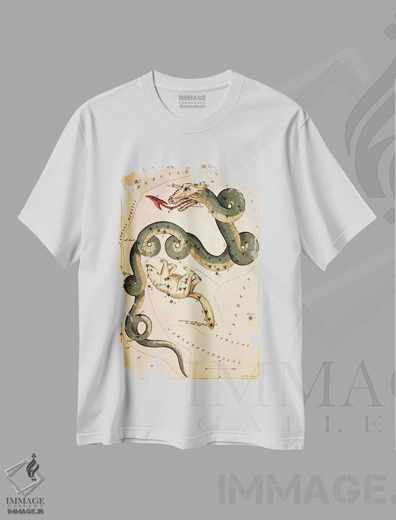 تیشرت طرح دار اژدها و خرس کوچک، تزئینی اثر سیدنی هال | immage.ir