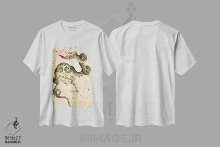 تیشرت طرح دار اژدها و خرس کوچک، تزئینی اثر سیدنی هال | immage.ir