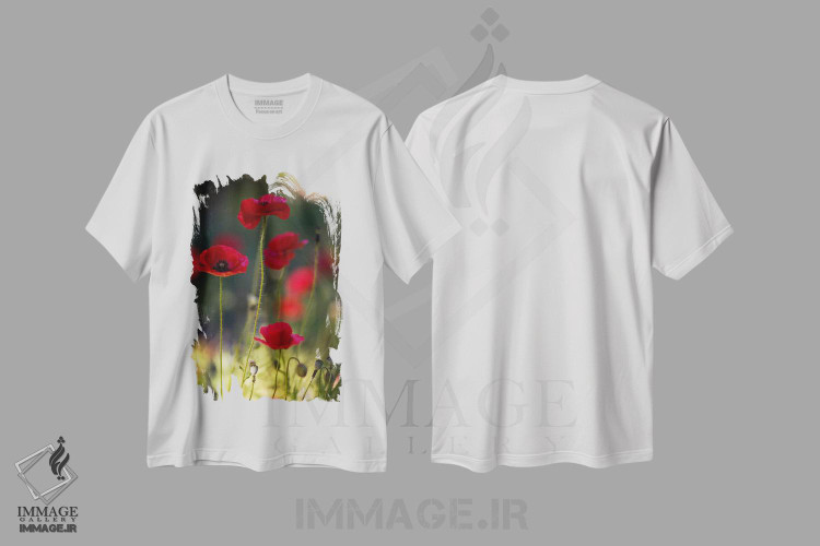 تیشرت طرح دار صعود مورفئوس، مدیوم اثر جفری آنسل آگرونس | immage.ir