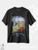 تیشرت طرح دار کاپری ایتالیا، وینتیج و رترو اثر کلکسیون اپل وینتج | فروشگاه ایماژ