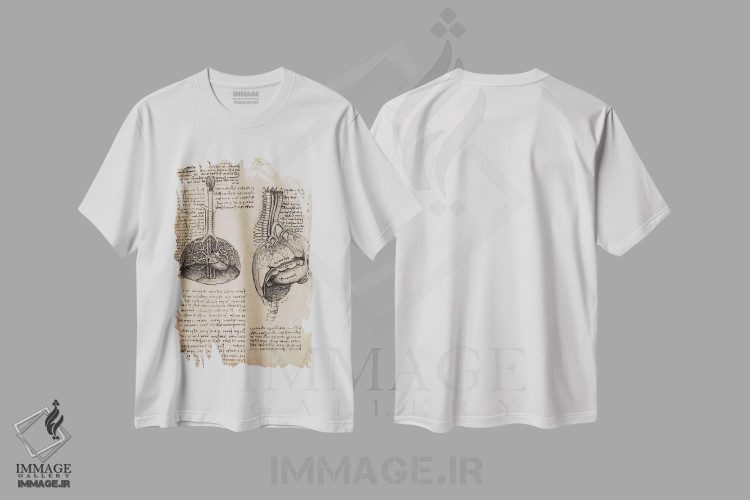 تیشرت طرح دار مطالعات اعضای بدن انسان در دفتر طراحی، تزئینی اثر لئوناردو داوینچی | فروشگاه ایماژ