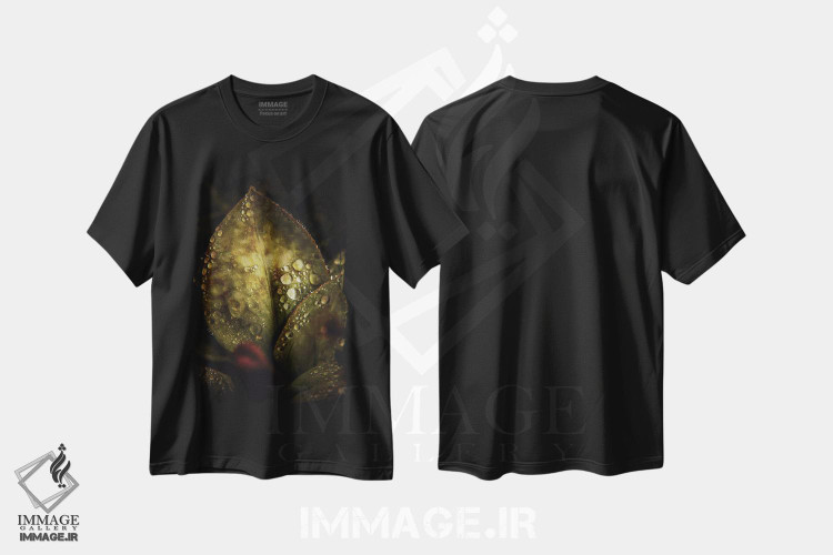تیشرت طرح دار ماکرو گرافیکی II، عکاسی ماکرو اثر آنابل شابر | immage.ir