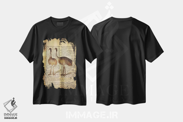 تیشرت طرح دار E، تزئینی اثر فایو بای فایو کالکتیو | فروشگاه ایماژ