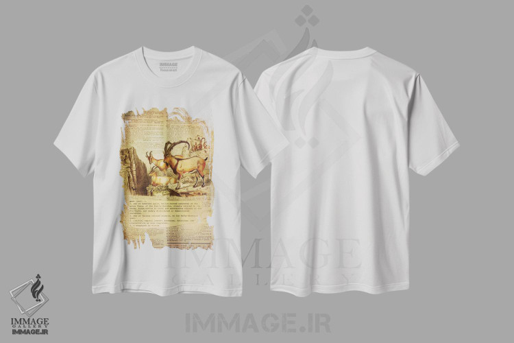 تیشرت طرح دار G، تزئینی اثر فایو بای فایو کالکتیو | immage.ir