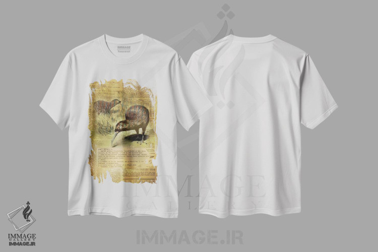 تیشرت طرح دار K، تزئینی اثر فایو بای فایو کالکتیو | فروشگاه ایماژ