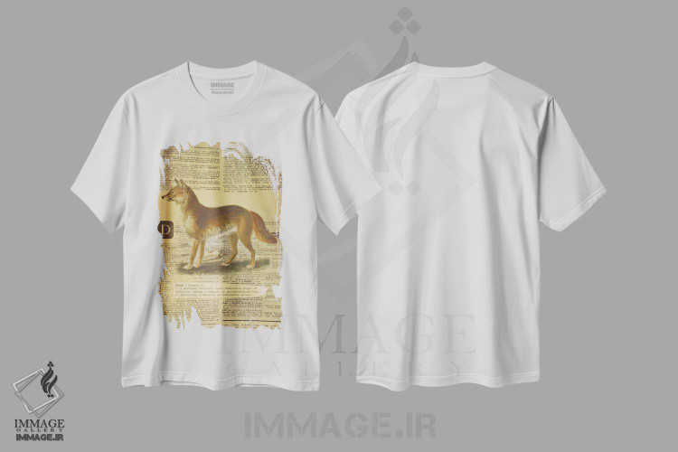 تیشرت طرح دار D، تزئینی اثر فایو بای فایو کالکتیو | immage.ir