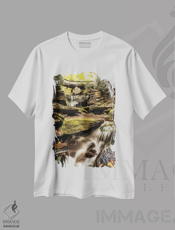تیشرت طرح دار زیر پل I، مدیوم اثر اندی اموس | immage.ir