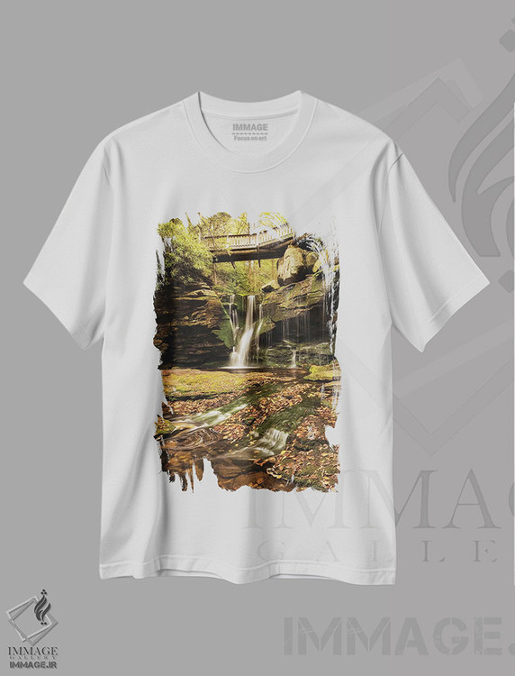 تیشرت طرح دار زیر پل II، مدیوم اثر اندی اموس | immage.ir