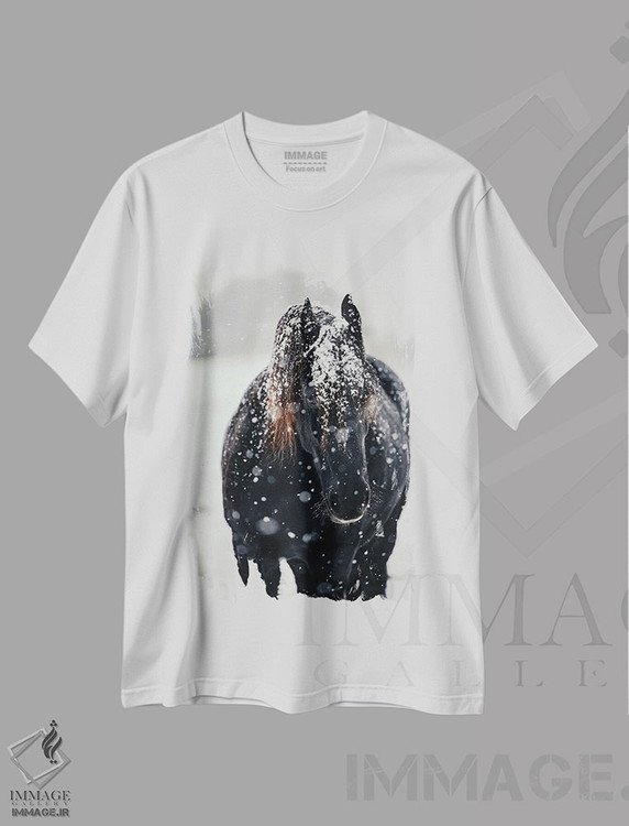 تیشرت طرح دار یافتن آرامش در سرما، هنر فاخر اثر آنا آرشینگر | immage.ir