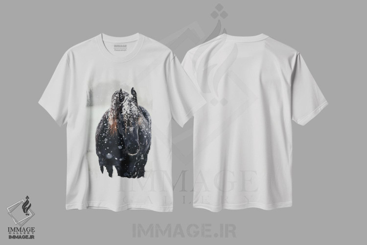 تیشرت طرح دار یافتن آرامش در سرما، هنر فاخر اثر آنا آرشینگر | immage.ir