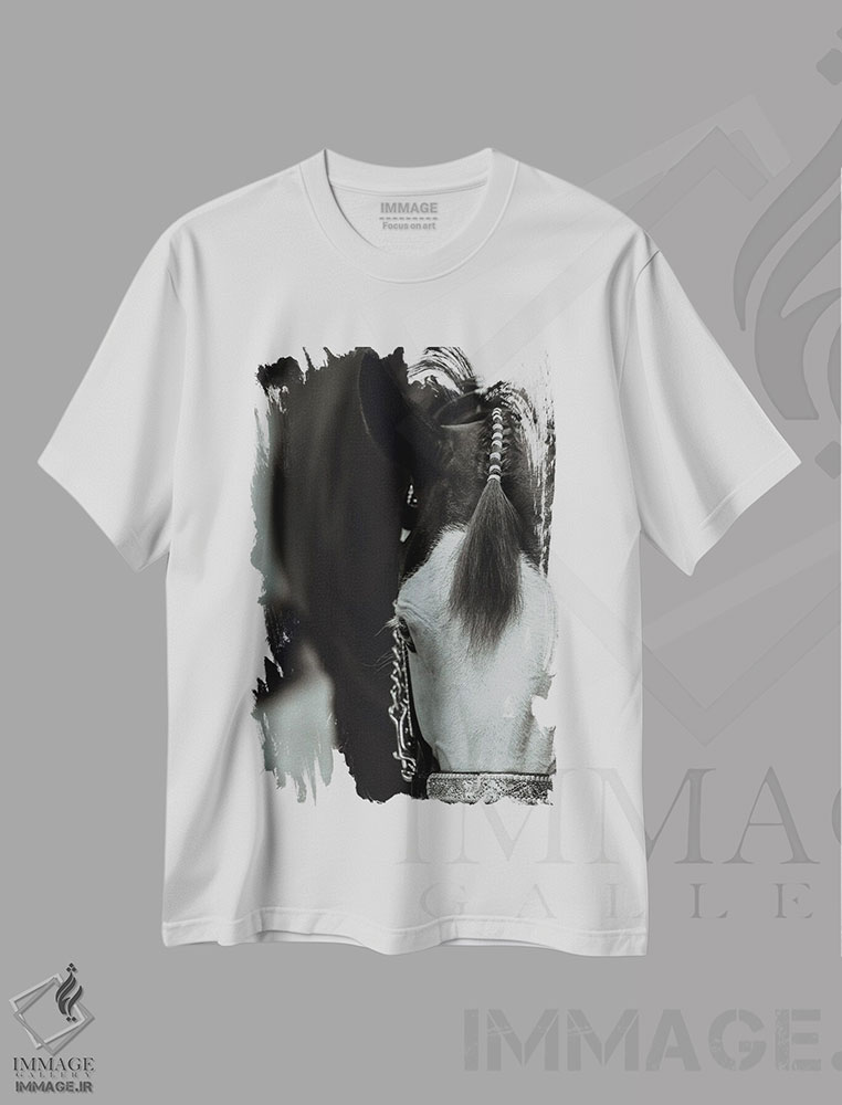 تیشرت طرح دار آماده برای نمایش، هنر فاخر اثر آنا آرشینگر | immage.ir