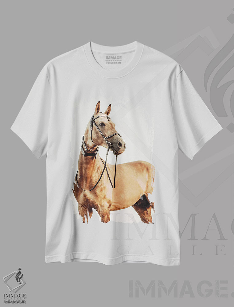 تیشرت طرح دار نگاه خوشبینانه، هنر فاخر اثر آنا آرشینگر | immage.ir