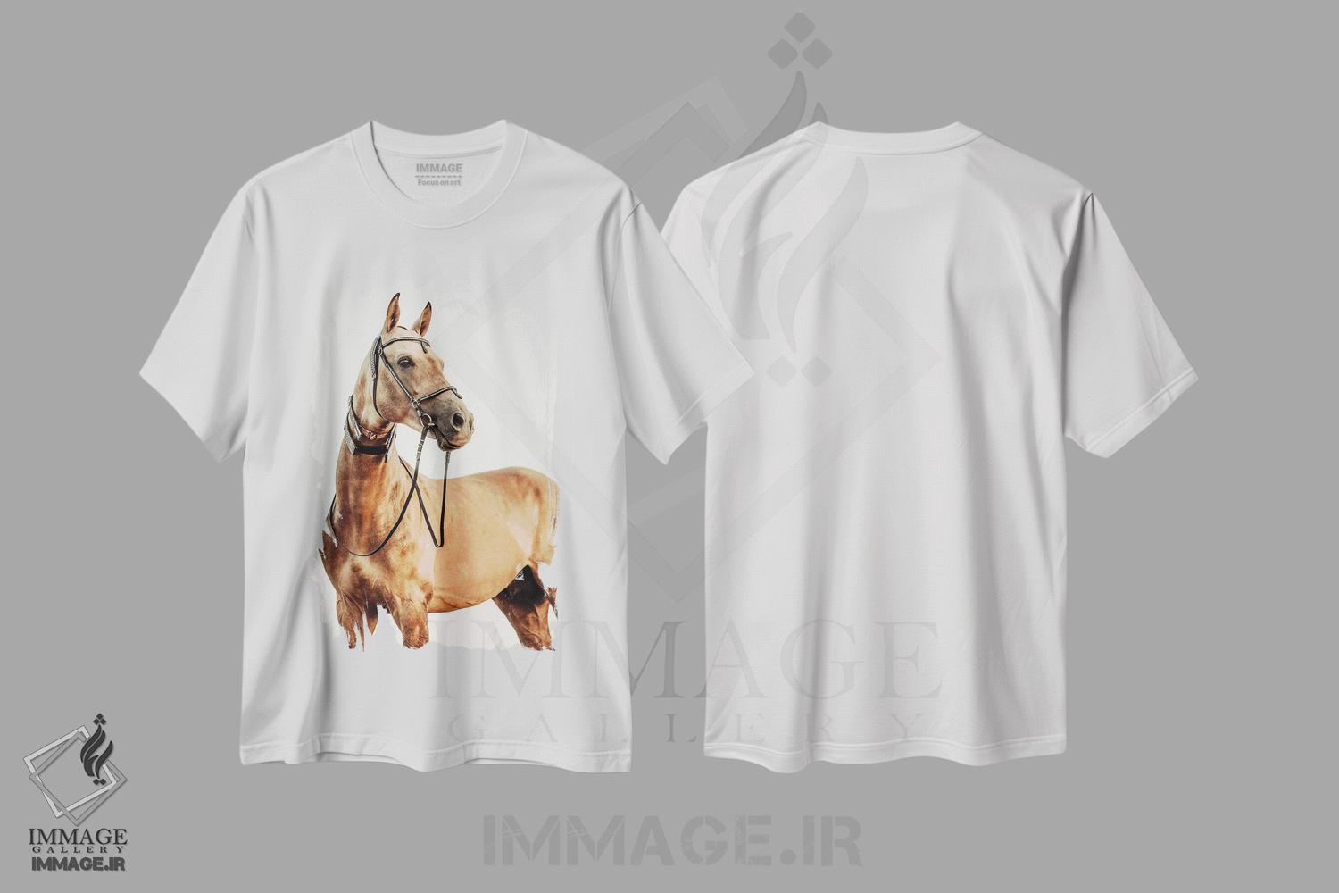 تیشرت طرح دار نگاه خوشبینانه، هنر فاخر اثر آنا آرشینگر | immage.ir