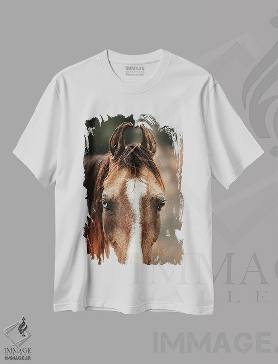 تیشرت طرح دار عدم تقارن رازآلود، هنر فاخر اثر آنا آرشینگر | فروشگاه ایماژ