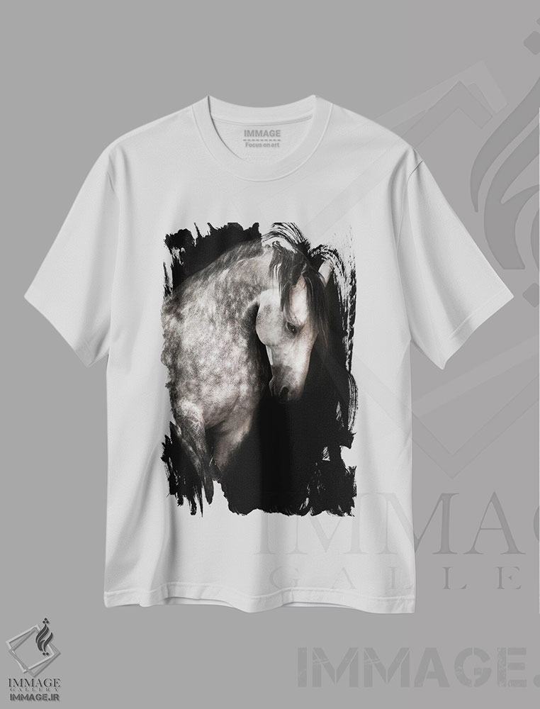 تیشرت طرح دار کاریزما، هنر فاخر اثر آنا آرشینگر | فروشگاه ایماژ