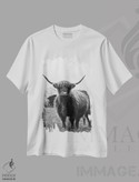 تیشرت طرح دار گاو کوهستانی سیاه و سفید III، عکاسی سیاه و سفید اثر هنر آنیتا و بلا | فروشگاه ایماژ