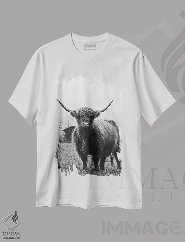 تیشرت طرح دار گاو کوهستانی سیاه و سفید III، عکاسی سیاه و سفید اثر هنر آنیتا و بلا | فروشگاه ایماژ