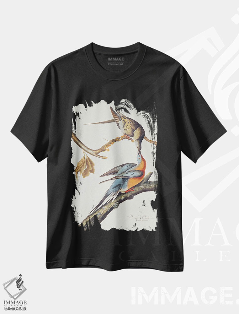 تیشرت طرح دار From 'Birds Of America',کبوتر مسافر، هنر فاخر کلاسیک اثر جان جیمز آدوبون | فروشگاه ایماژ