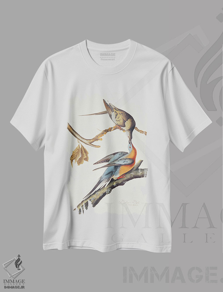تیشرت طرح دار From 'Birds Of America',کبوتر مسافر، هنر فاخر کلاسیک اثر جان جیمز آدوبون | immage.ir