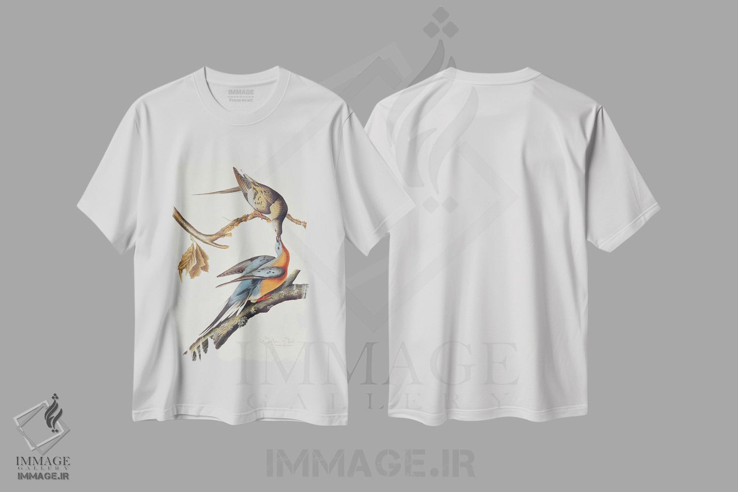 تیشرت طرح دار From 'Birds Of America',کبوتر مسافر، هنر فاخر کلاسیک اثر جان جیمز آدوبون | immage.ir