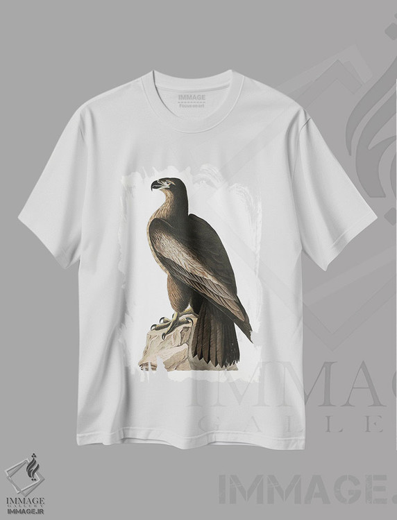 تیشرت طرح دار عقاب دریایی بزرگ آمریکا، هنر دیجیتال اثر جان جیمز آدوبون | فروشگاه ایماژ