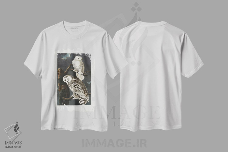 تیشرت طرح دار جغد برفی، دکور کلبه و لژ اثر جان جیمز آدوبون | immage.ir