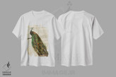 تیشرت طرح دار چاپ وینتیج طاووس، تزئینی اثر پیکسل کهنه | immage.ir