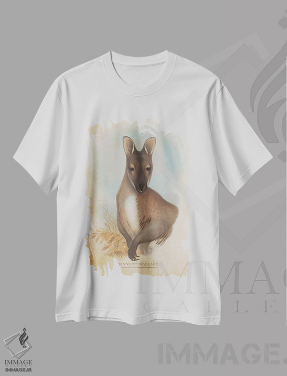 تیشرت طرح دار والابی بنت، تزئینی اثر پیکسل کهنه | فروشگاه ایماژ